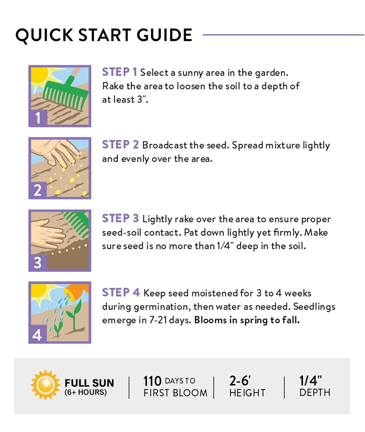 Burpee Perennial Wildflower Seeds Mix – Non-GMO, Attracts Pollinators, Perennial Flowers, 50,000 Seeds, 1 Bag