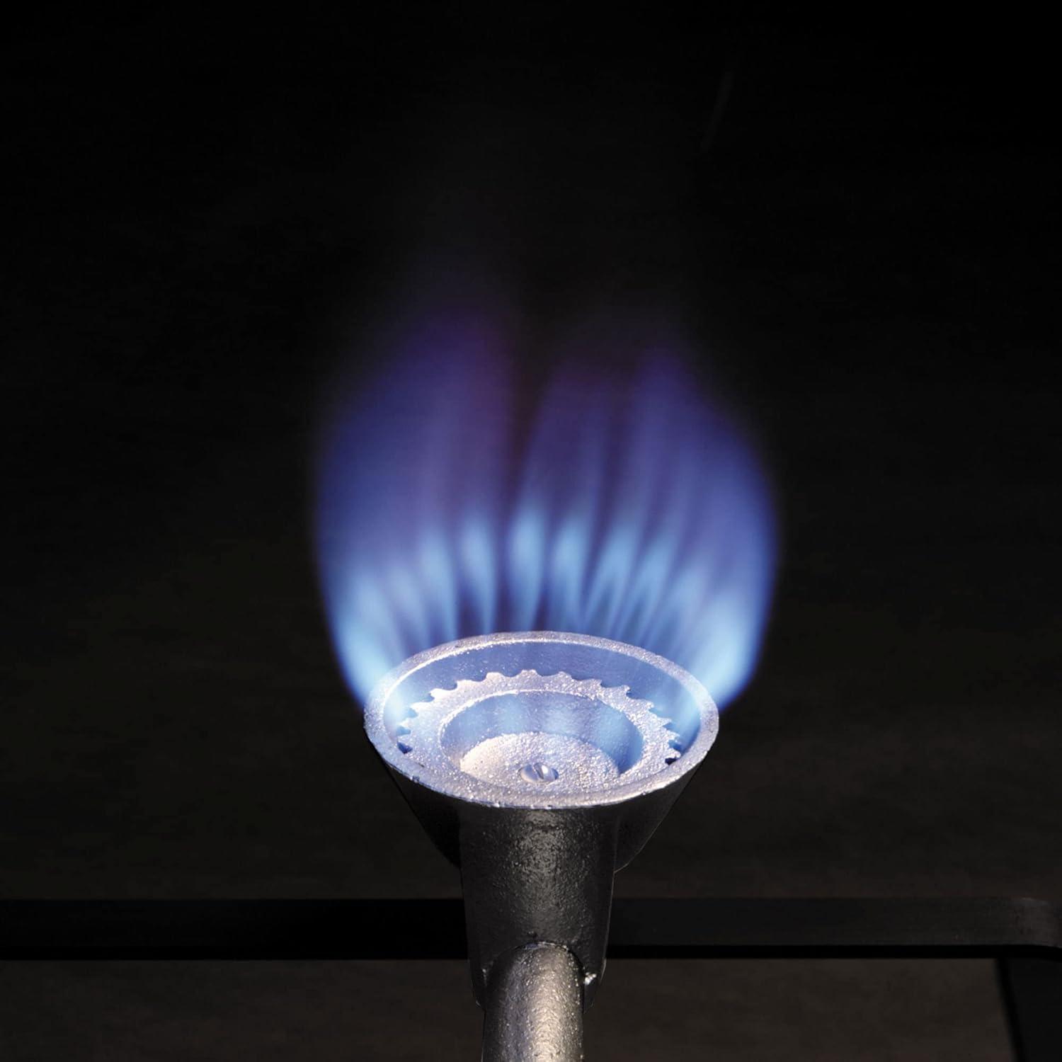 Bayou Classic 1135 10-qt Stainless Fish Cooker Includes 10-qt Fry Pot w/ Lid and Basket 5in Fry Thermometer 4-in Cast Aluminum Burner 5-psi Regulator w/ 36-in Stainless Braided Hose