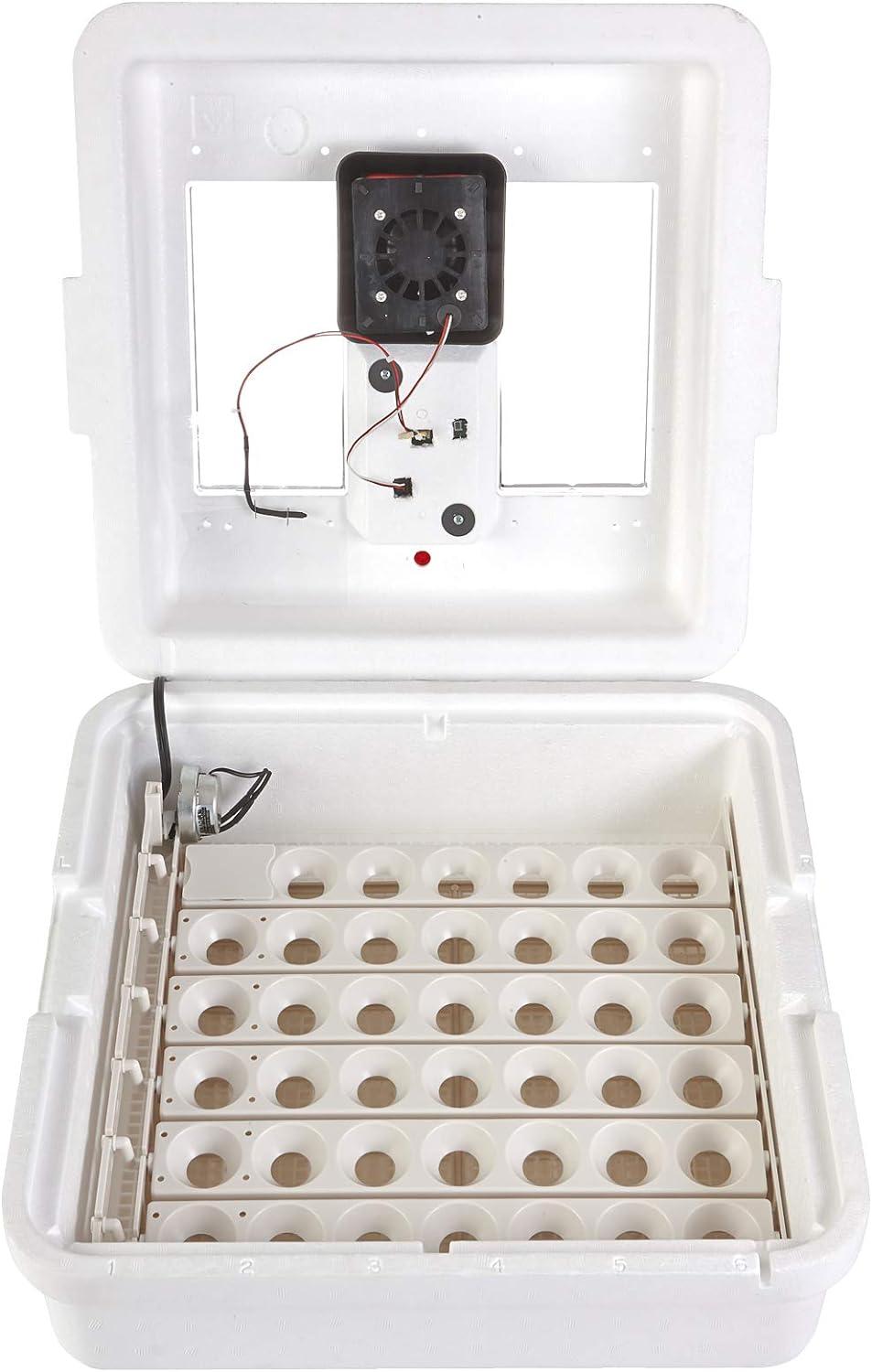 Little Giant White Digital Still Air Incubator