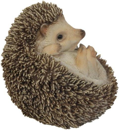 Hi-Line Gift Ltd. Hedgehog On Back Statue