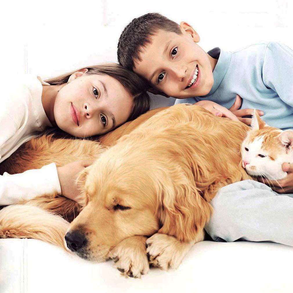 BestPet Foldable Pet Jogger Stroller