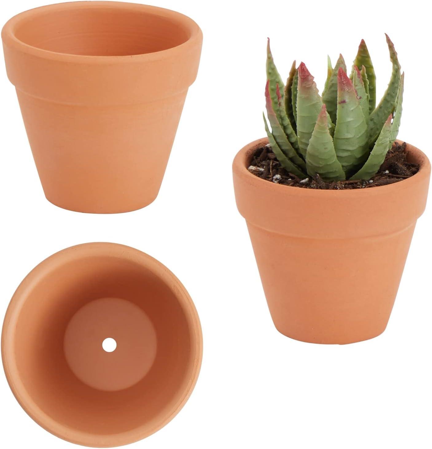 Charming Mini Terracotta Planters with Drainage for Succulents and Herbs, 10-Pack