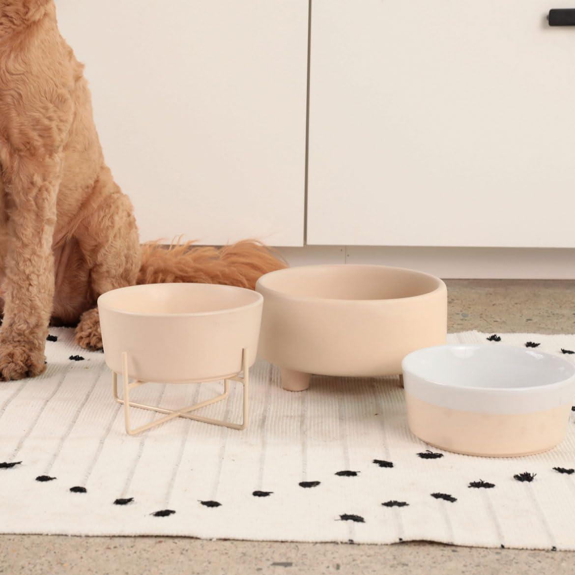 Waggo Elevated Feeder