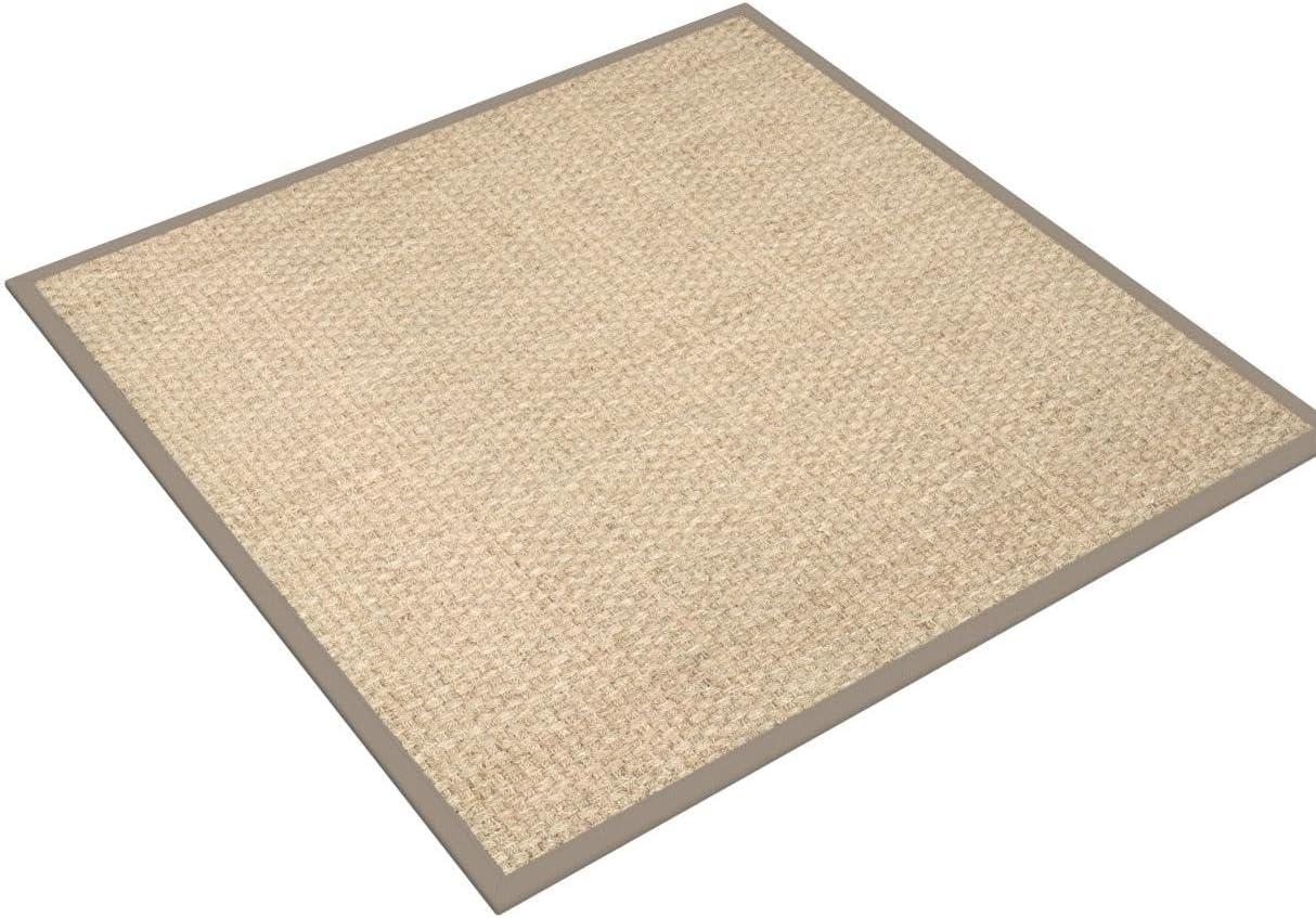 SAFAVIEH Natural Fiber Arbor Border Area Rug, Natural/Grey, 7' x 7' Square