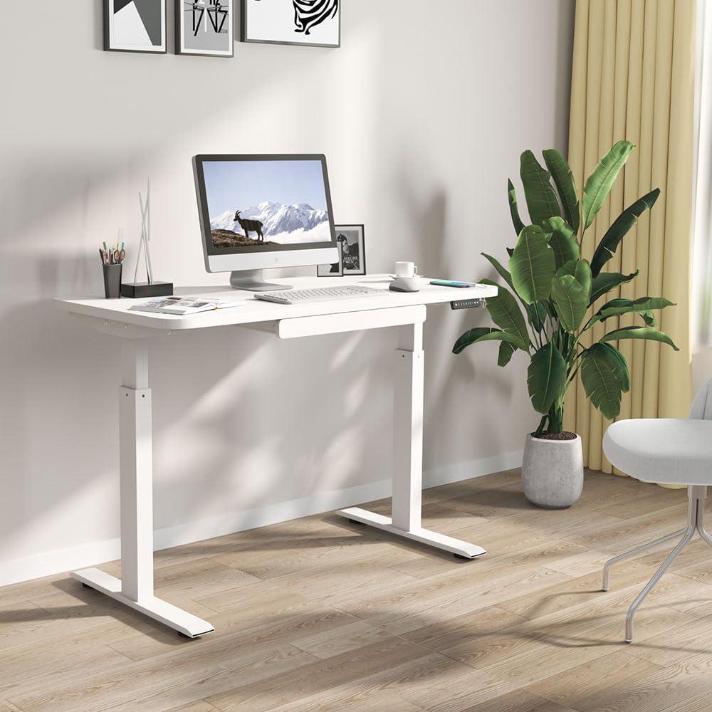 Motionwise White Electric Height Adjustable Standing Desk, 24”x48", Height Adjustable 28"-48" with 4 pre-set height adjustments and USB Charge Port, Multiple Colors