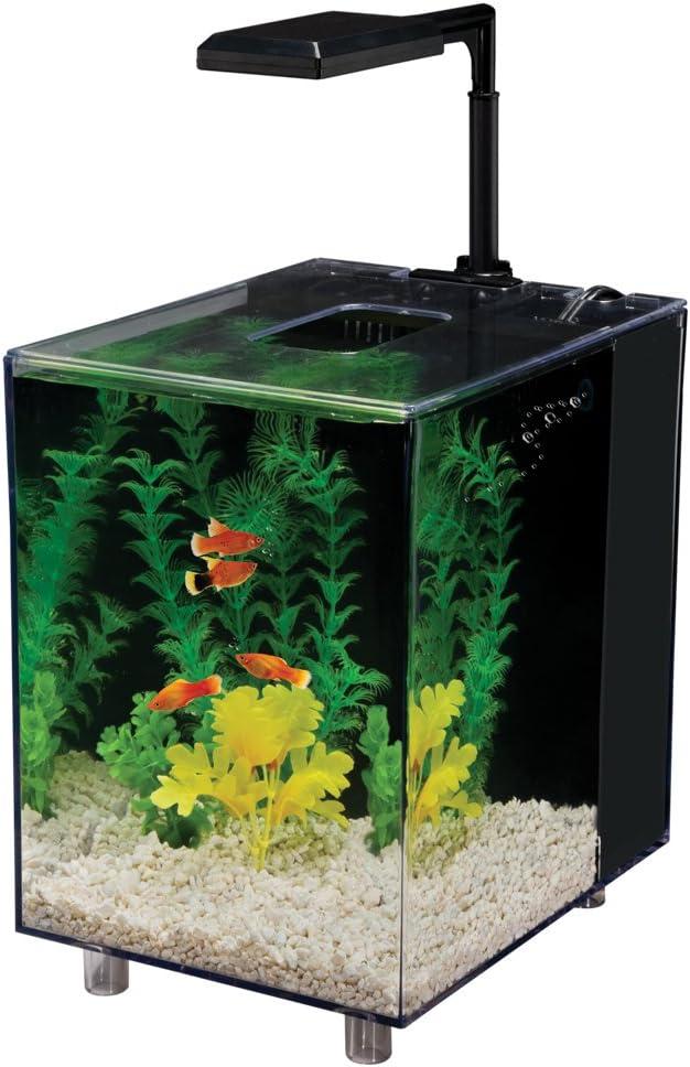 Margo 2 Gallon Desktop Aquarium Tank