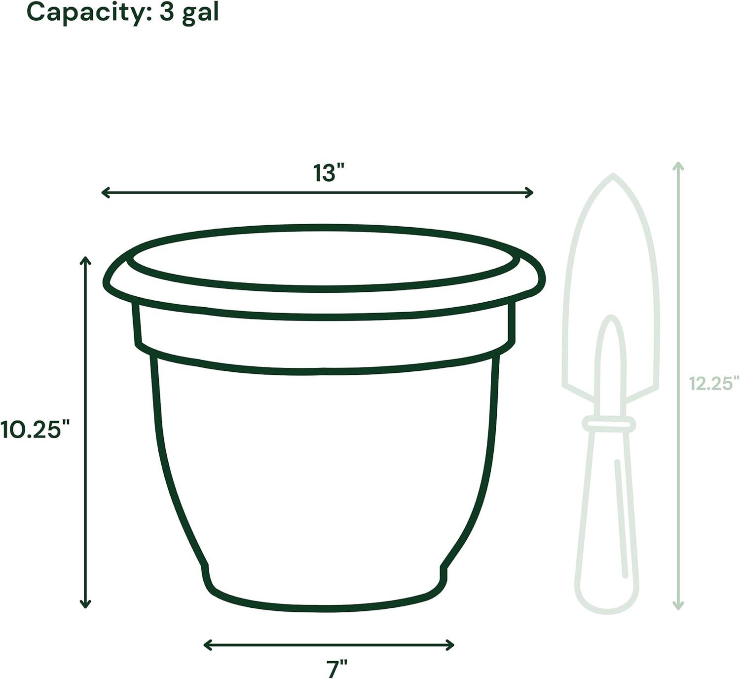 Bloem Ariana 12 in. D Polyresin Planter Charcoal