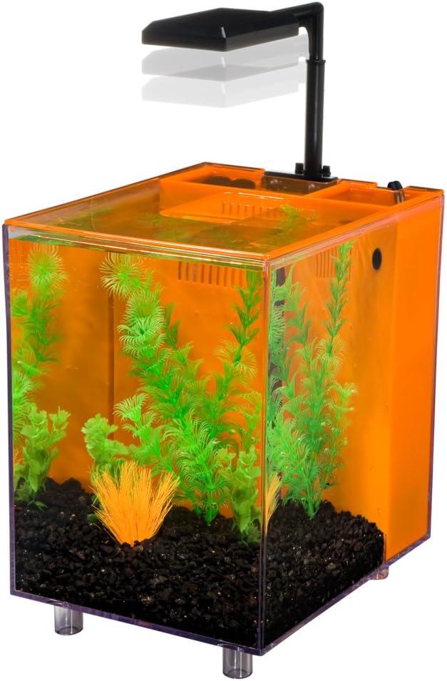 Margo 2 Gallon Desktop Aquarium Tank