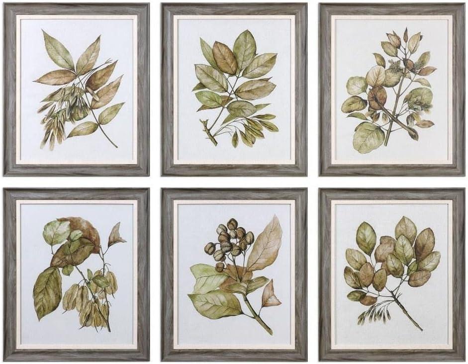 Set of 6 Gray Framed Botanical Prints with Glass