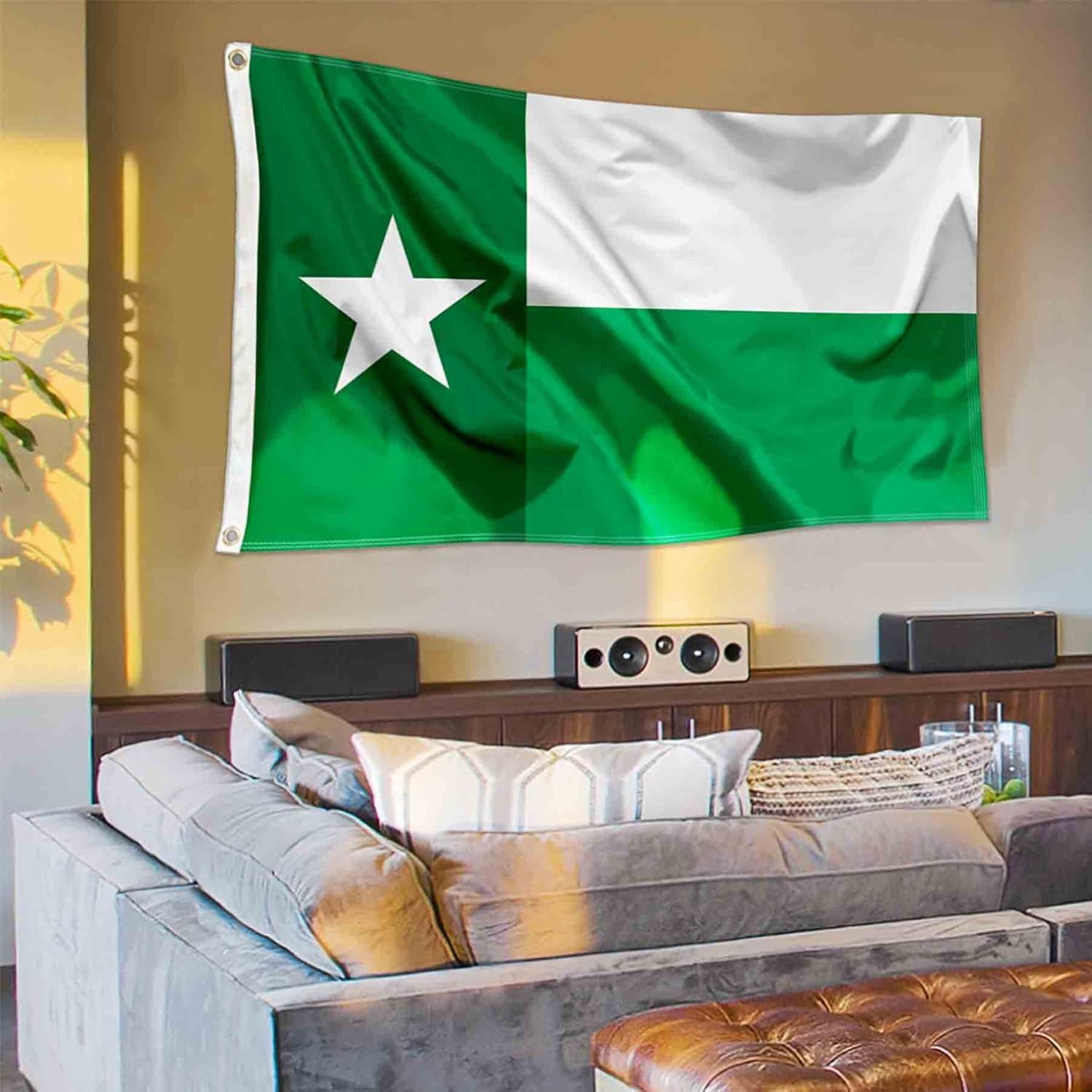 Desert Cactus University of North Texas Flag UNT Mean Green Flags Banners 100% Polyester Indoor Outdoor 3x5 (Green Texas Flag)