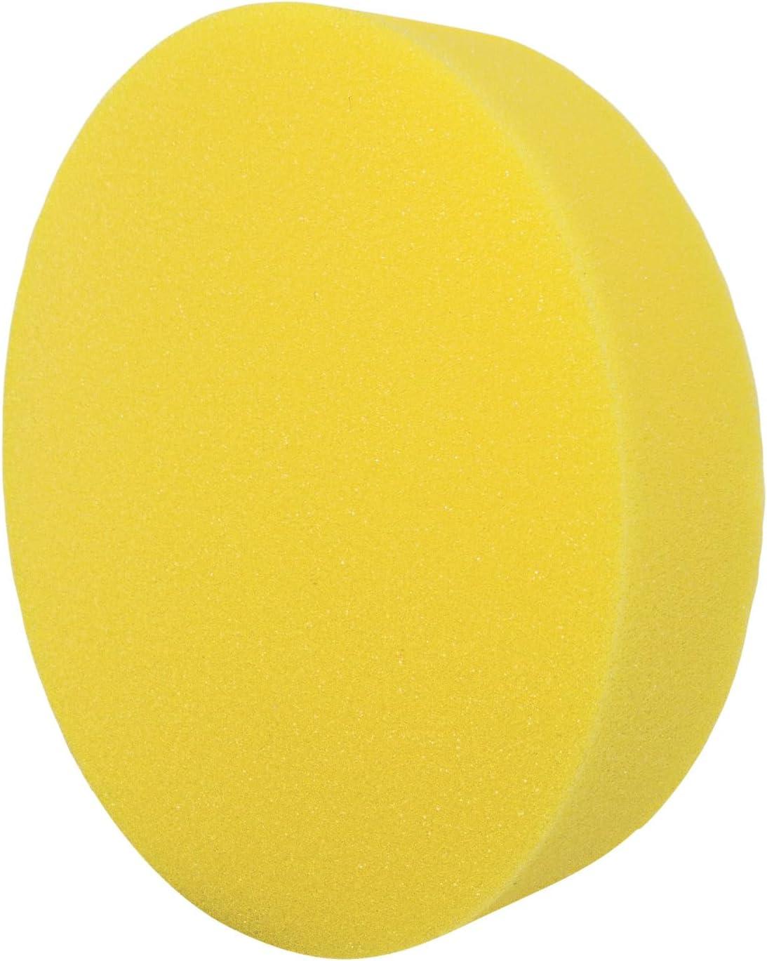 Champion Sports 9 Inch Rounded Edge Foam Disc