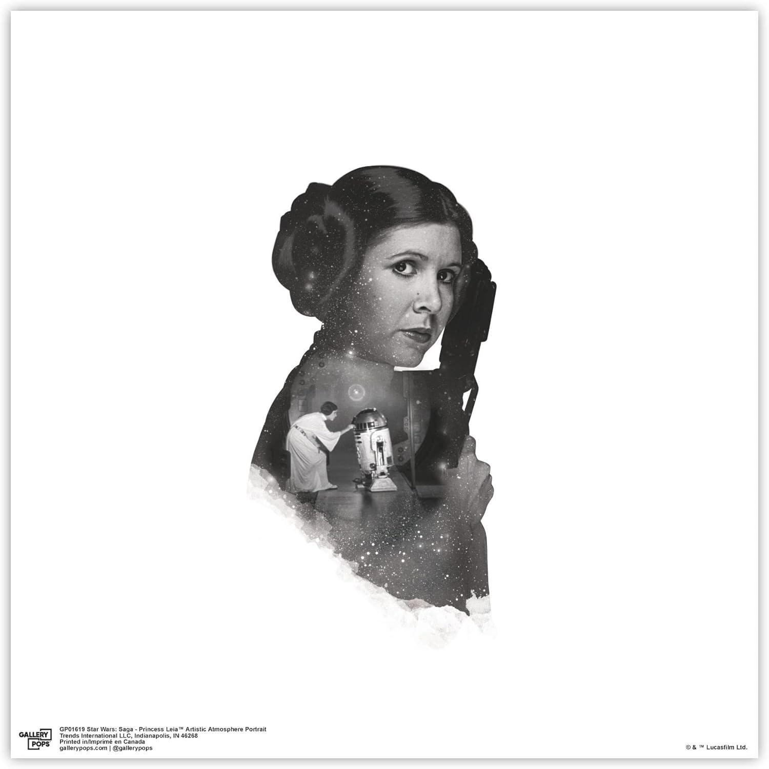 Gallery Pops Star Wars: Saga - Princess Leia Artistic Atmosphere Portrait Wall Art, Unframed Version, 12" x 12"