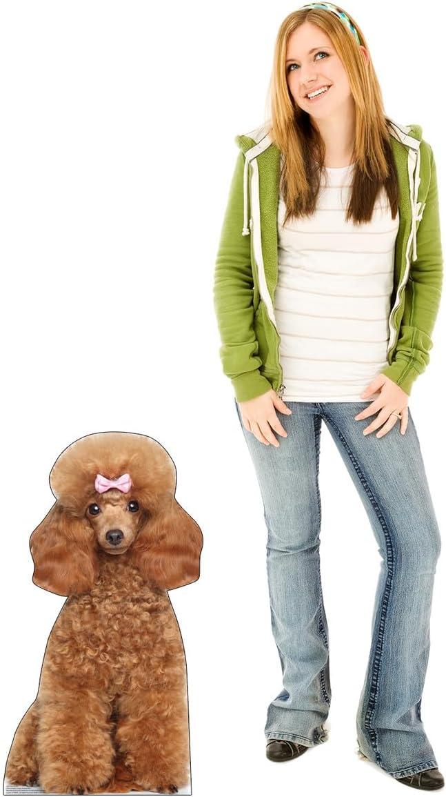 34 x 18 in. Toy Poodle Life-Size Cardboard Cutout