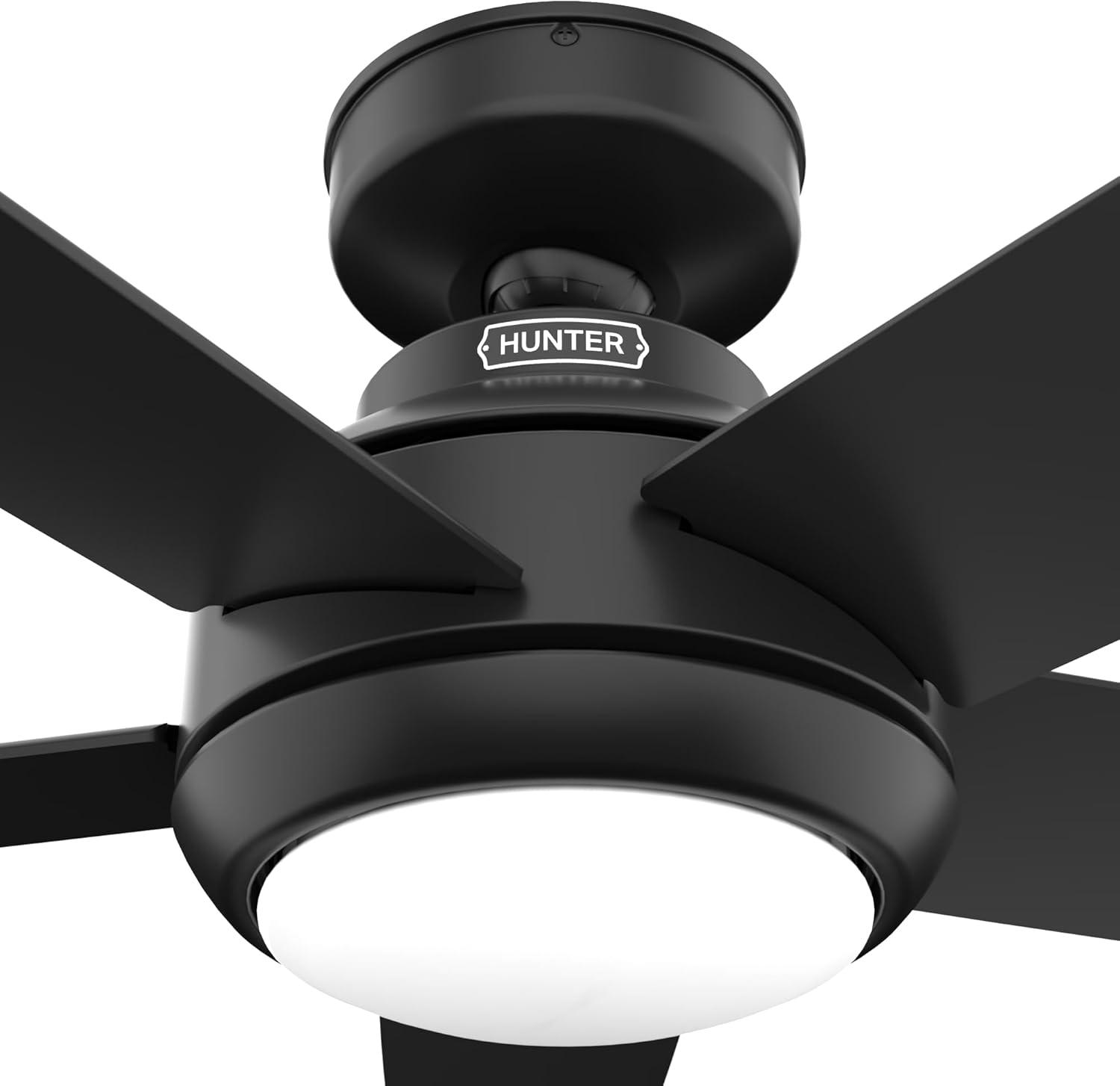 52" Zayden 5 - Blade Ceiling Fan With Lights and Remote