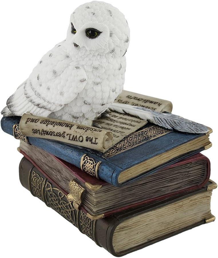 4.75 Inch Snow Owl on Books Decorative Trinket Box, White Color