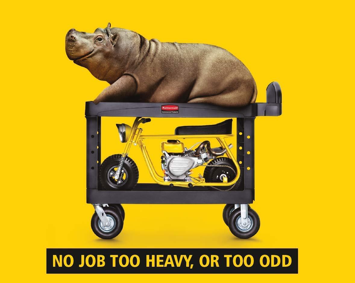 Rubbermaid® Commercial 32.2'' H x 25.9'' W Utility Cart with Wheels