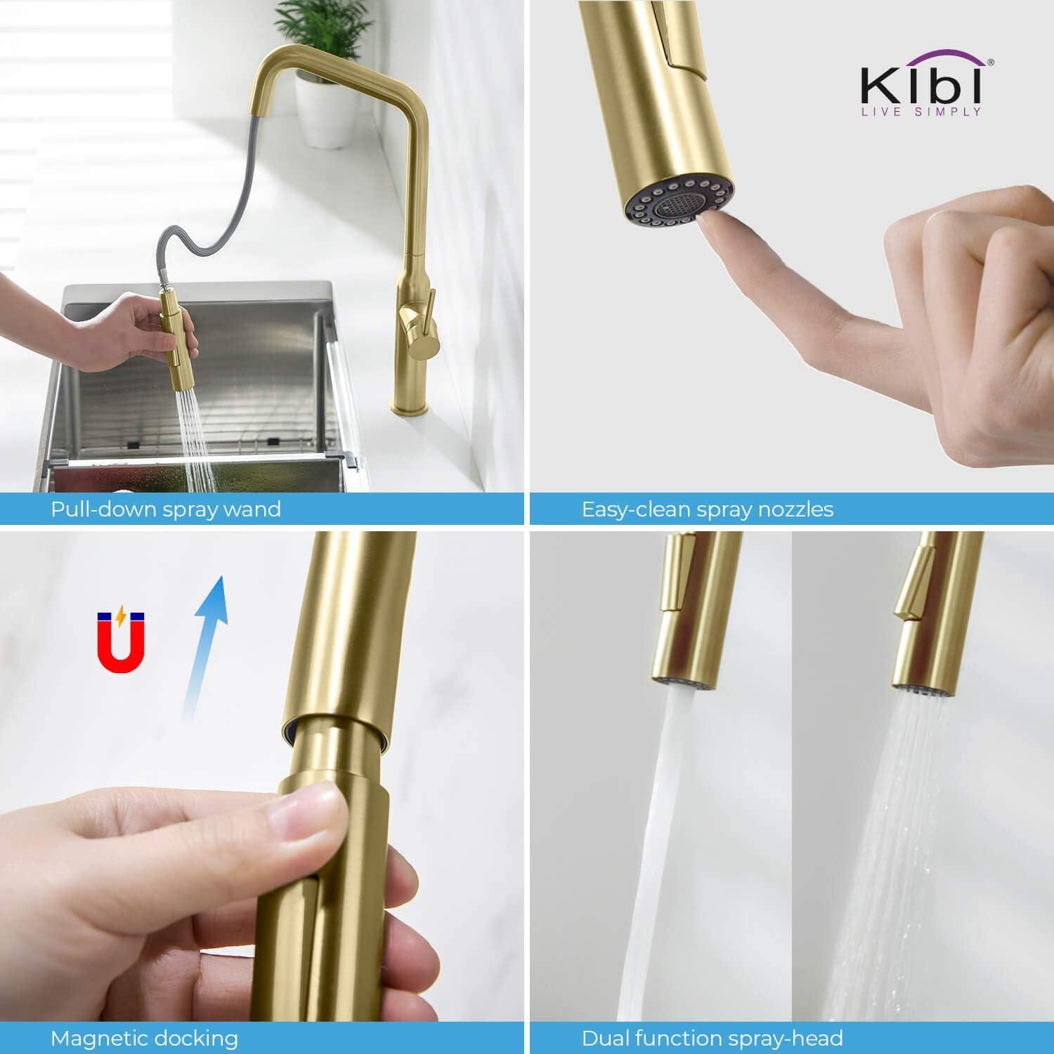 Macon Pull Down Single Handle Kitchen Faucet with Accessories