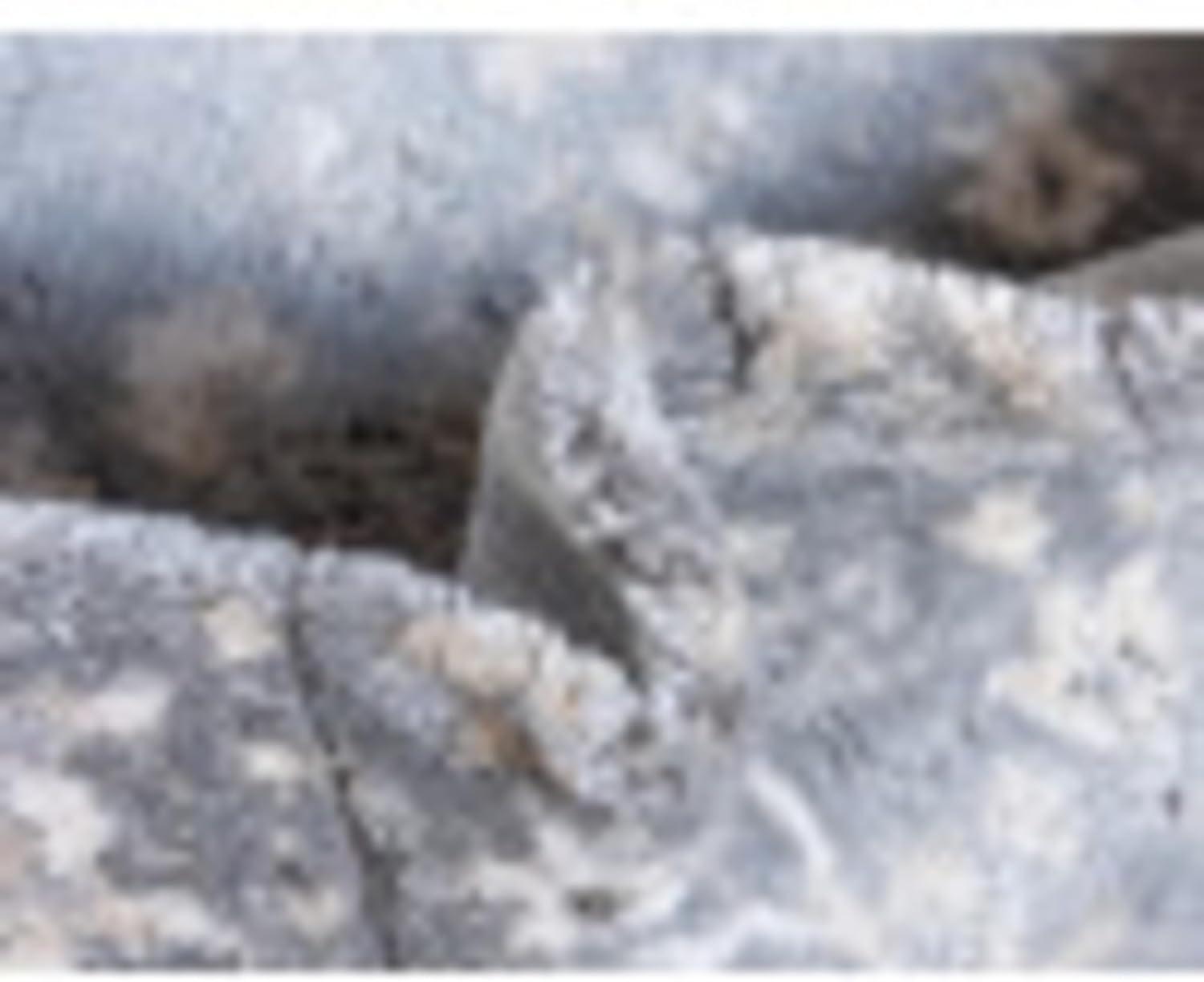 Unique Loom Portland Collection Bohemian Vintage Inspired Tone-on-Tone Design Area Rug (8' 0 x 10' 0 Rectangular, Gray/ Ivory)
