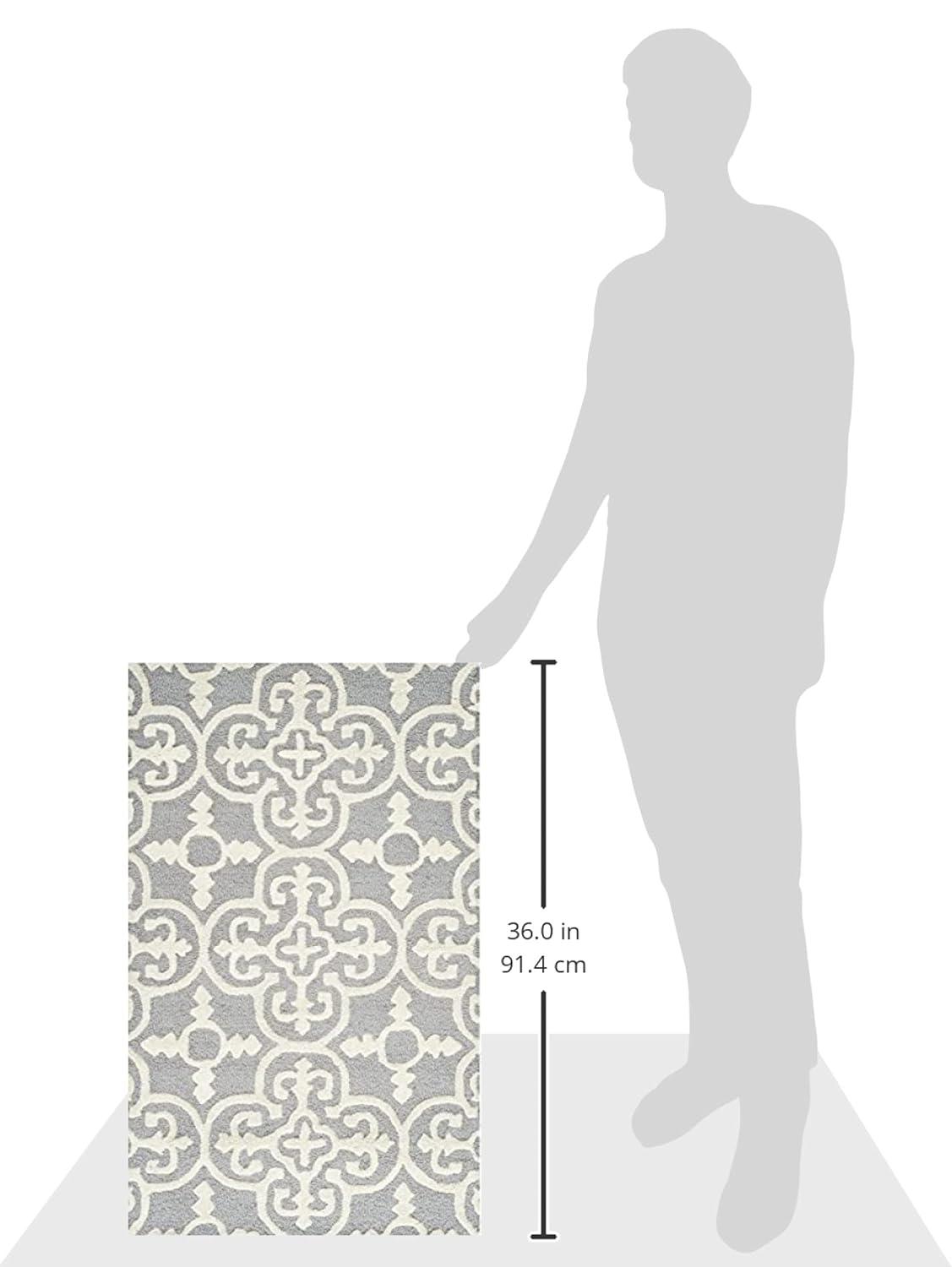 Cambridge CAM133 Hand Tufted Area Rug  - Safavieh