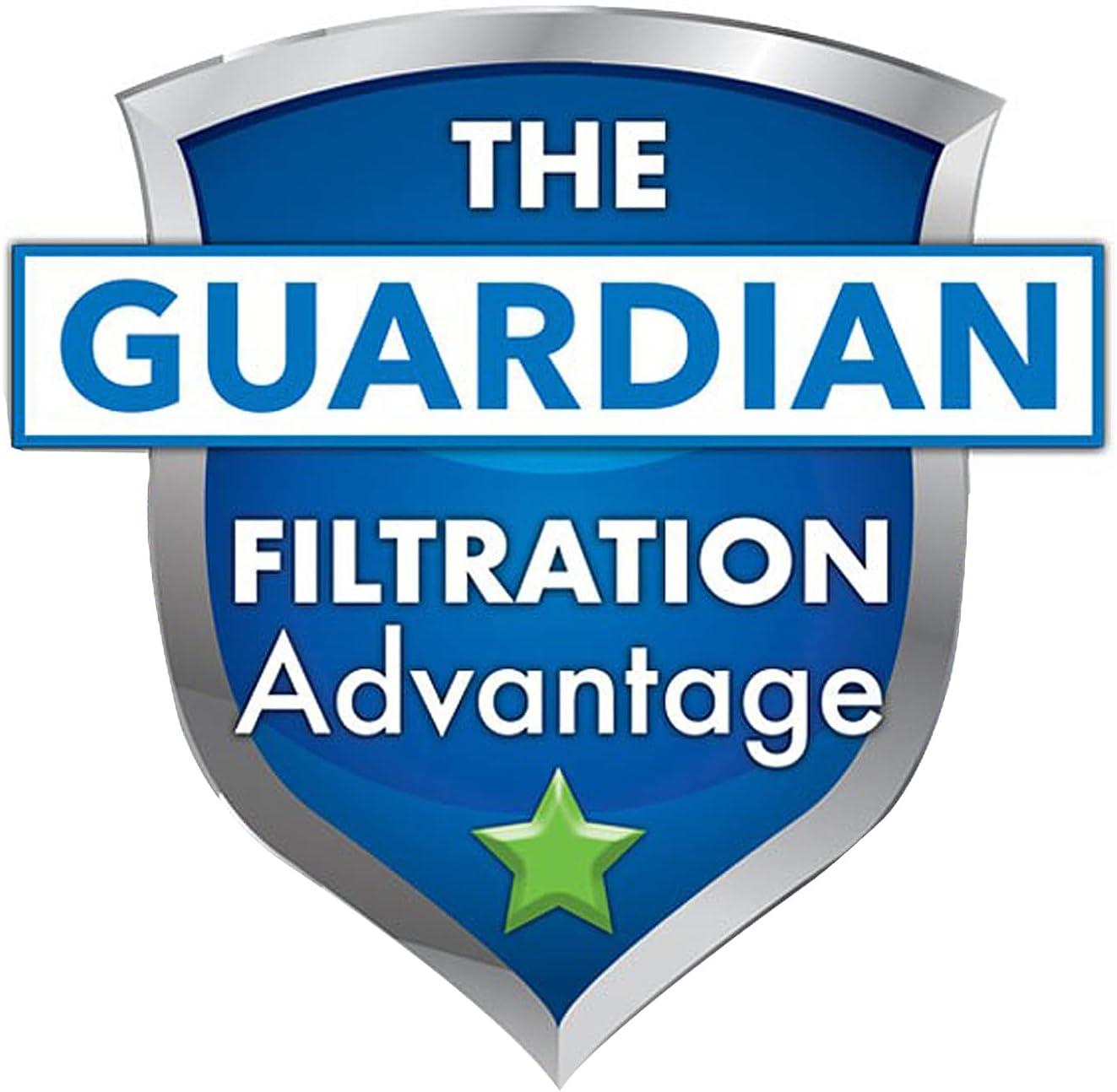Guardian Filtration Products Spa Filter Cartridge 413-106-06 Six-Pack Replacement for Pleatco PRB50IN, Unicel C-4950, Filbur FC-2390