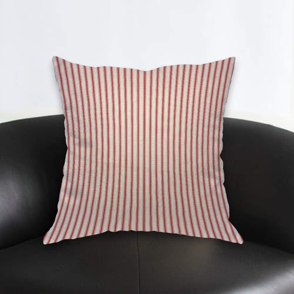 AOYEGO Red Vertical Stripe Throw Pillow Cover Streaks Red and White Line Background Fashion Striped Simple Repeat Pillow Case 18x18 Inch Decorative Men Women Room Cushion Cover for Home Couch