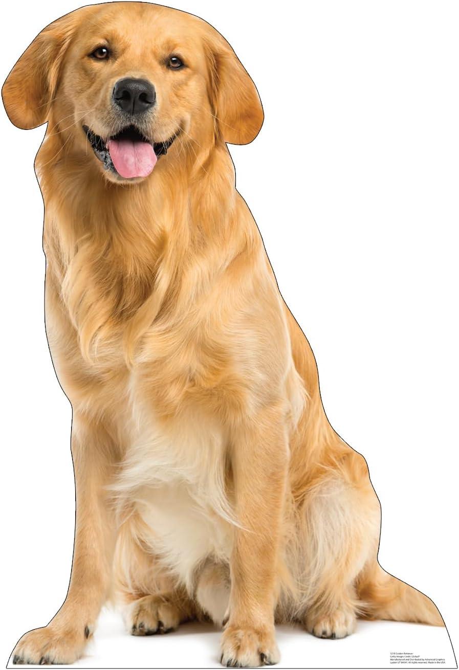 Advanced Graphics Golden Retriever Life-Size Cardboard Stand-Up, 45" x 30"