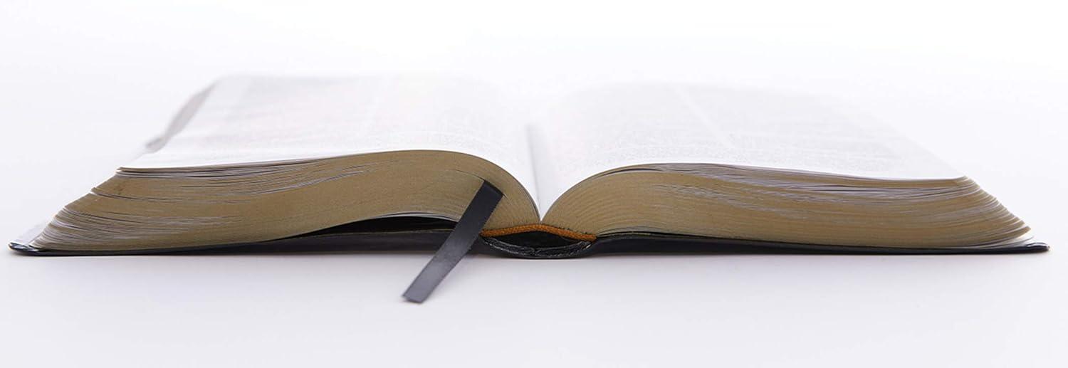 KJV, Reference Bible, Personal Size Giant Print, Leather-Look, Black, Red Letter Edition - Large Print by  Thomas Nelson (Paperback)