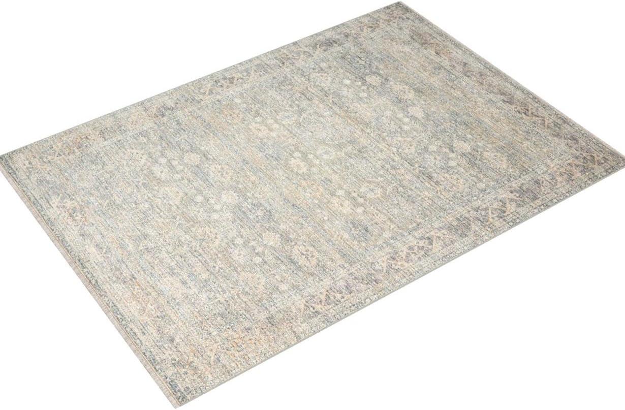 Angela Rose x Loloi Blake Sky / Beige Area Rug