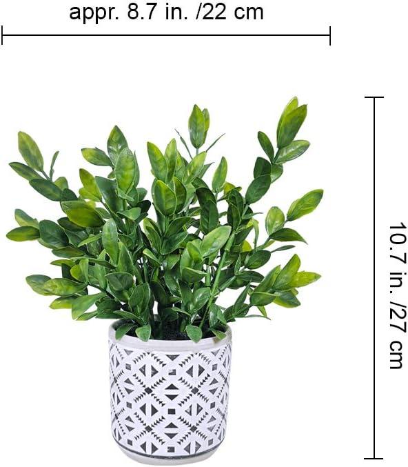 Set of 2 Artificial Eucalyptus and Grass Plants in Patterned Concrete Pots