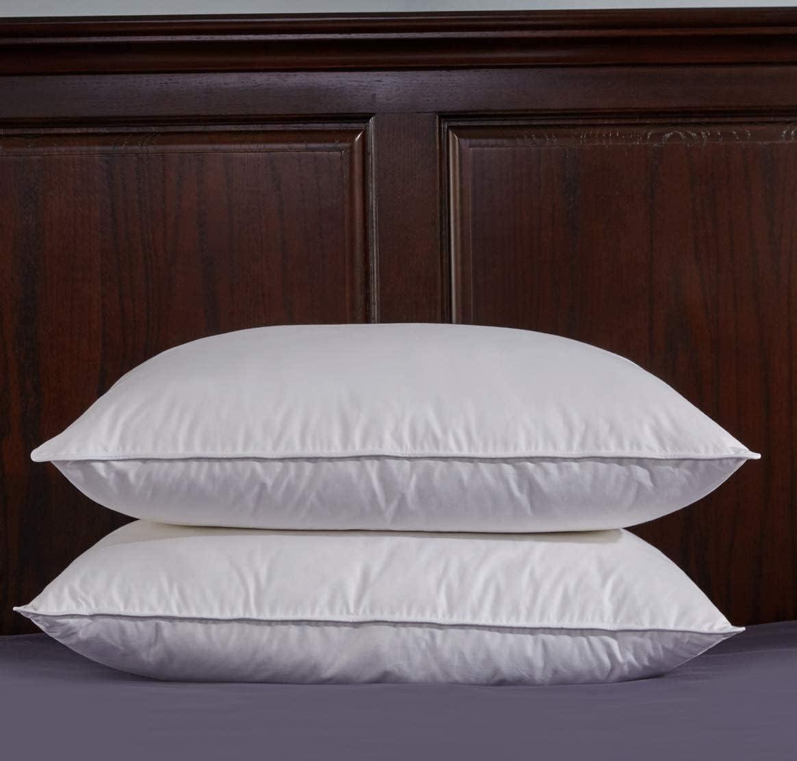 Down Blend Medium Pillow (Set of 2)