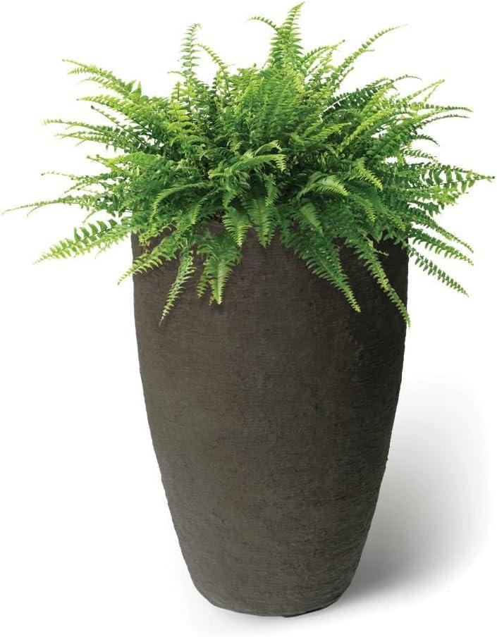 Algreen Products 87313 Athena 28.5" Self Watering Level Indicator Indoor Outdoor Plastic Planter with Overflow Drain, Brown