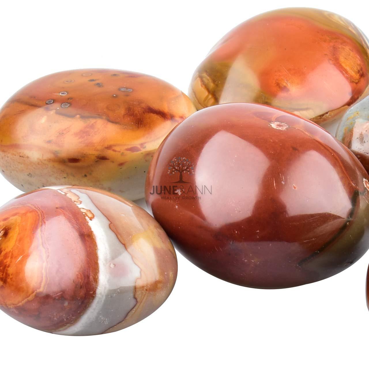 June&Ann Natural Ocean Jasper Palm Stones Healing Gemstone Therapy Worry Crystal Stones for Meditation Chakra Balancing Collection, Irregular Shape