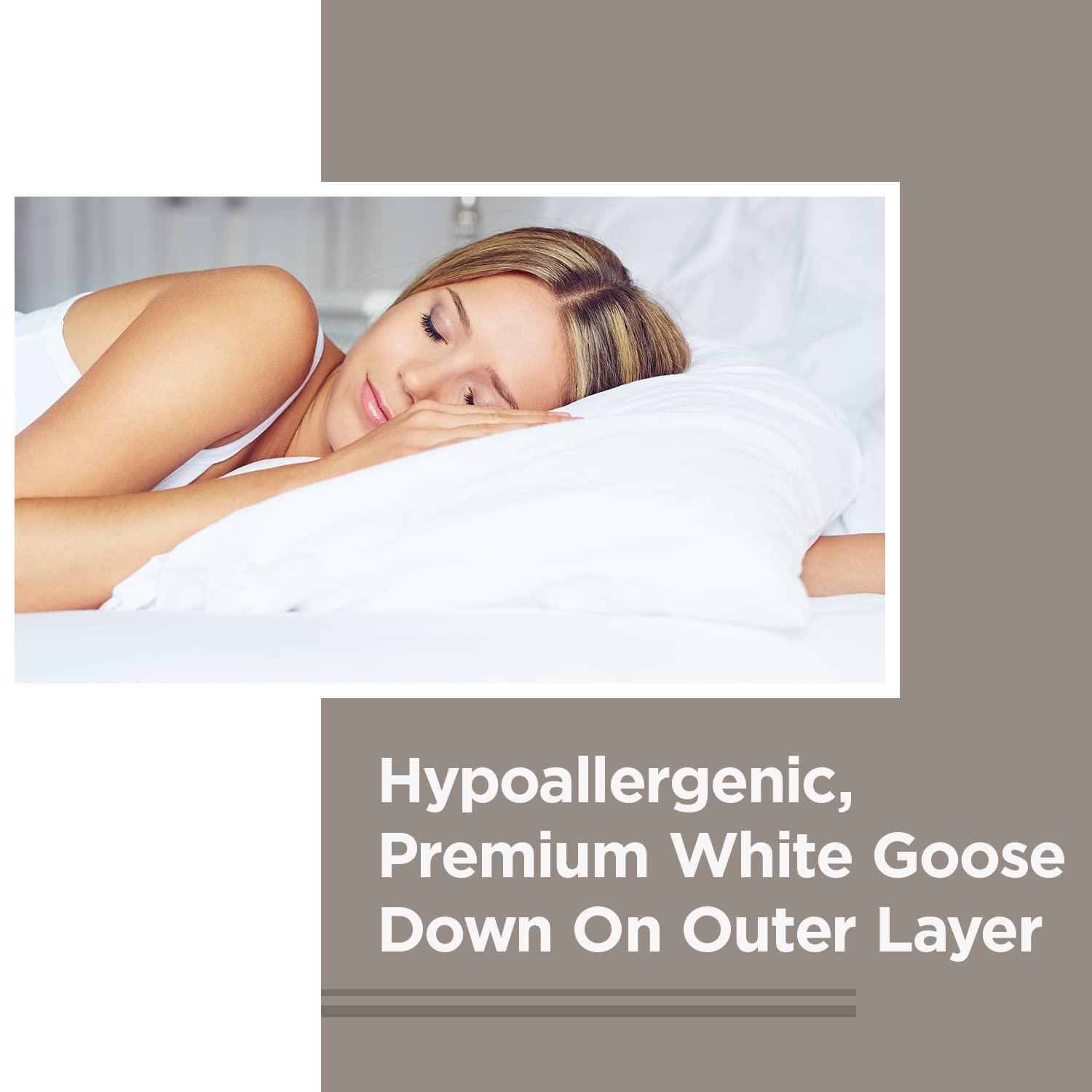 Downlite White Goose Chamber Hotel Pillow Queen
