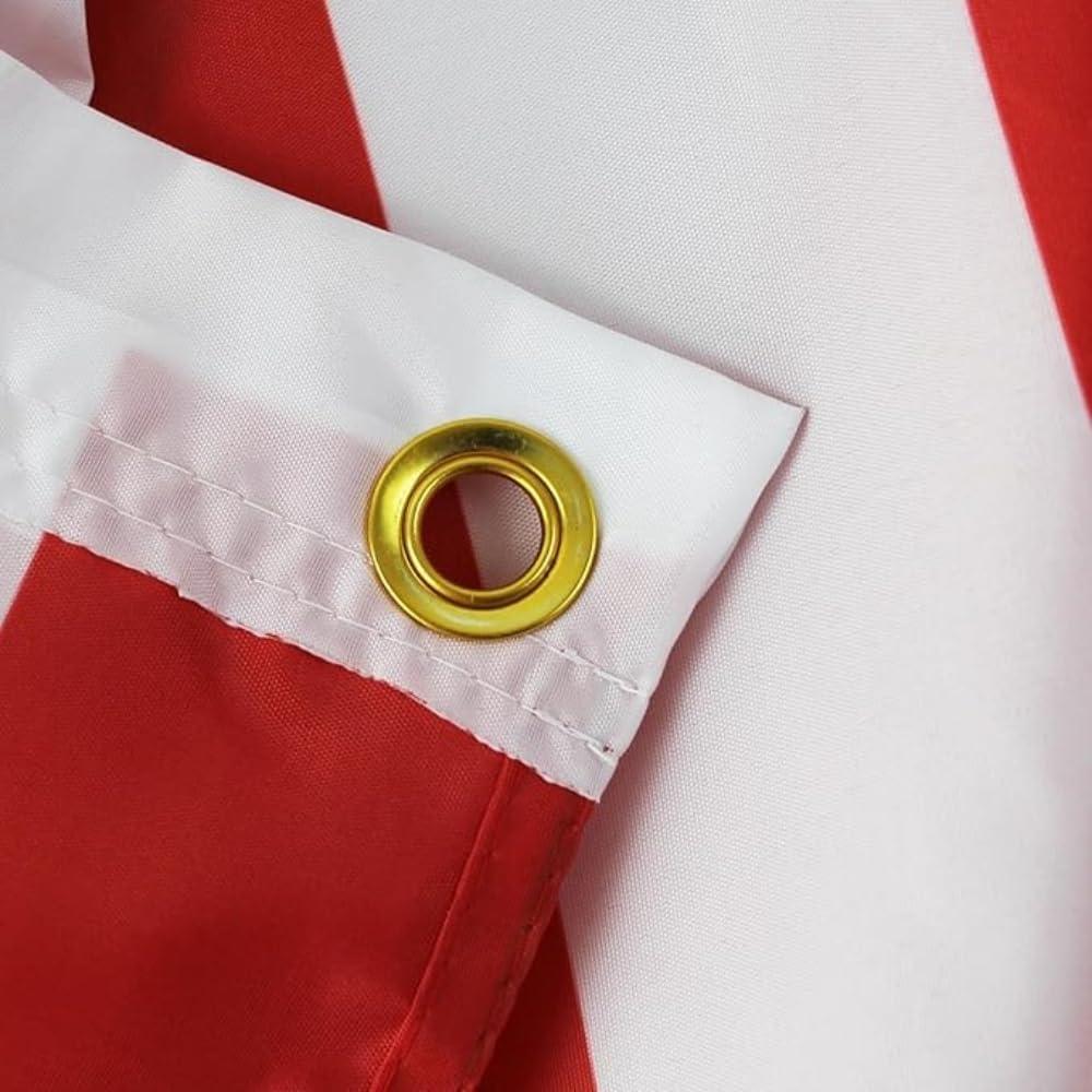 AGAS Greenland Flag 3x5 ft Double Stitched Hem 100% Polyester Metal Grommets Indoor Denmark Greenlander National Flag