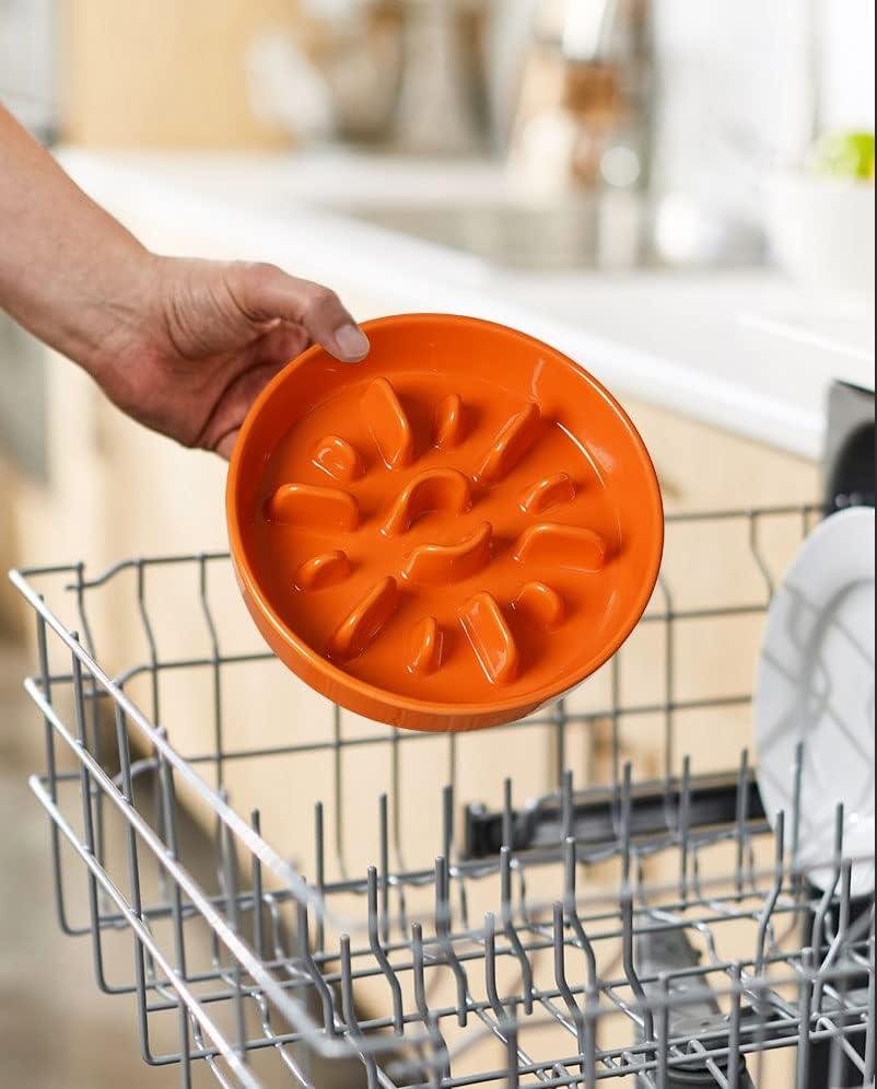 Ceramic Slow Feed Dog Bowls