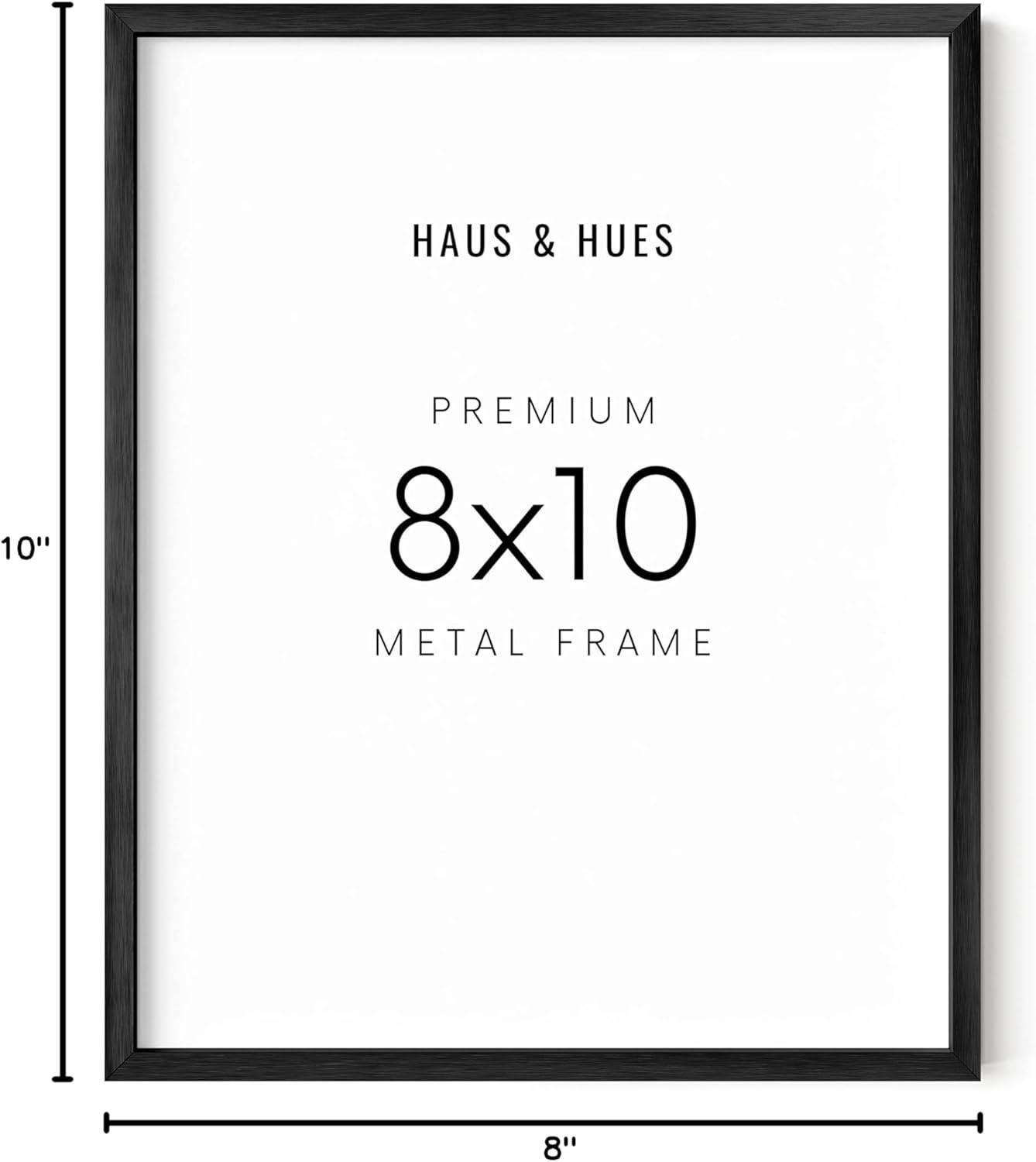 Haus and Hues Aluminum Frame (Set Of 1) Metal Picture Frame