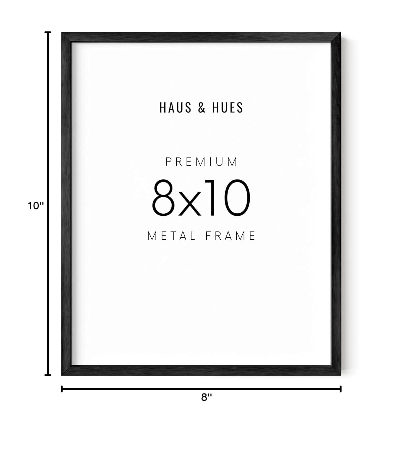 Haus and Hues Aluminum Frame (Set Of 1) Metal Picture Frame