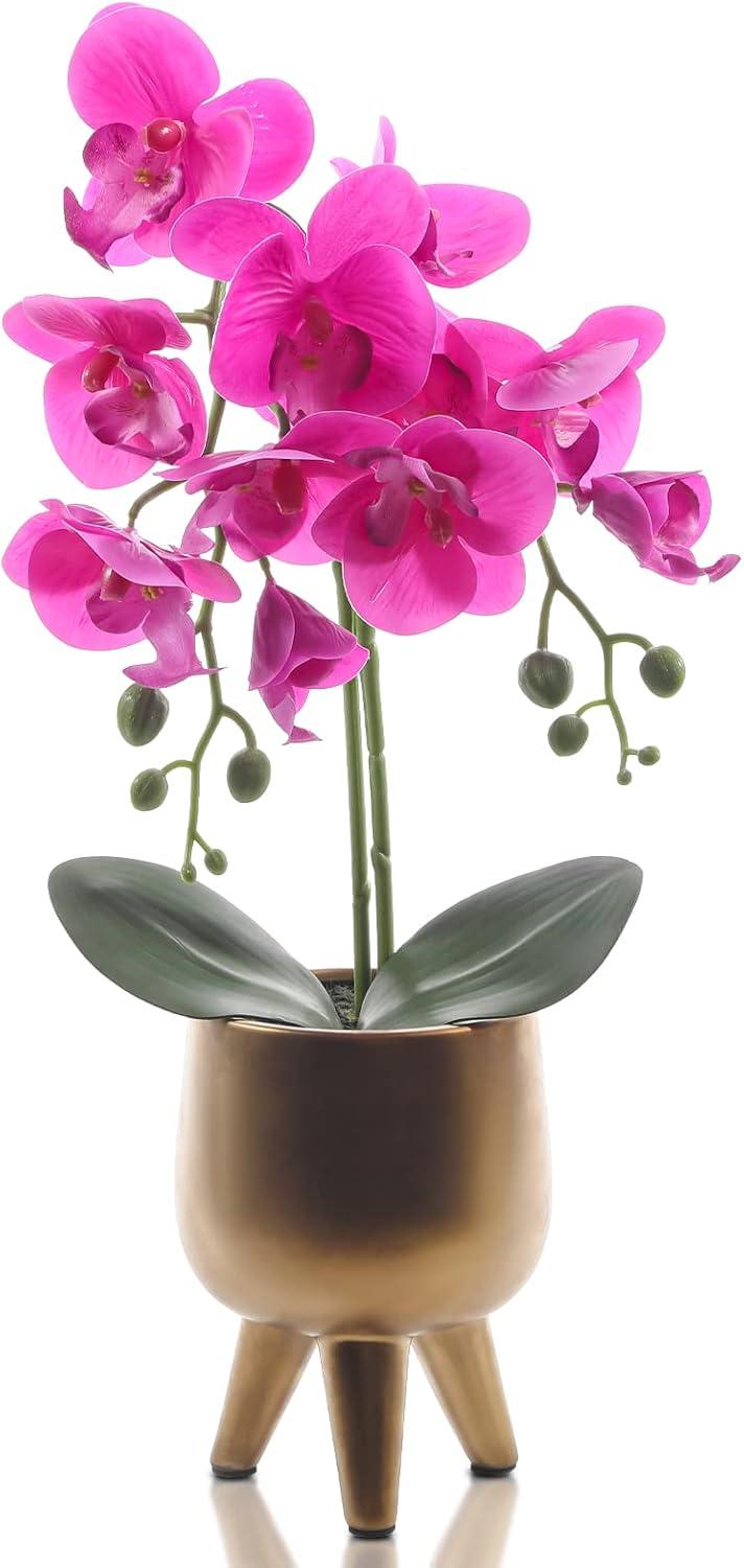 Elegant 21" Purple Orchid with Moss in Gold Vase Centerpiece