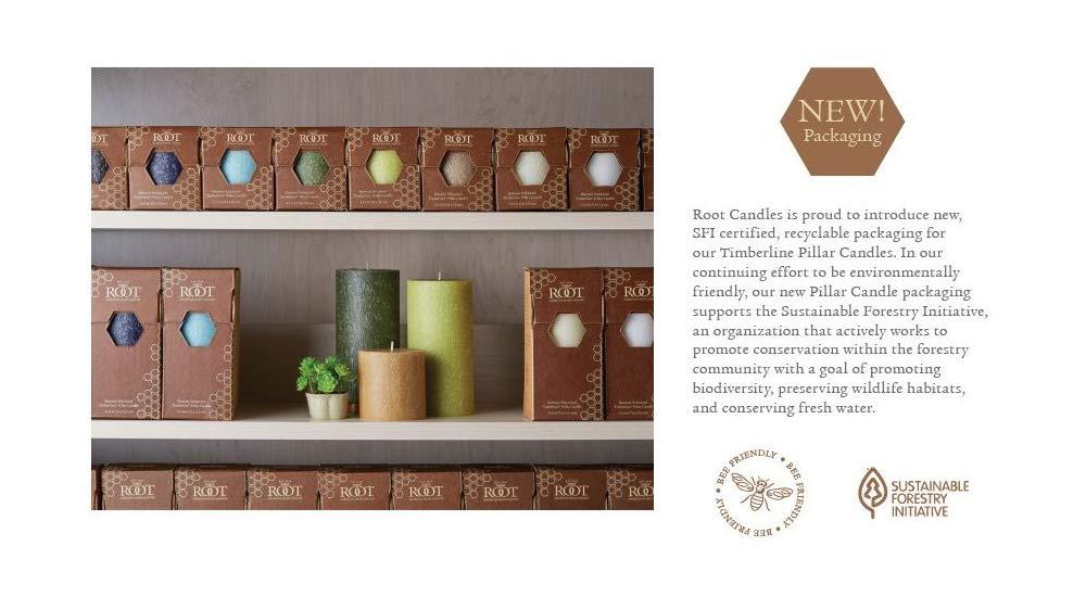 Root Candles Timberline Unscented Pillar Candle