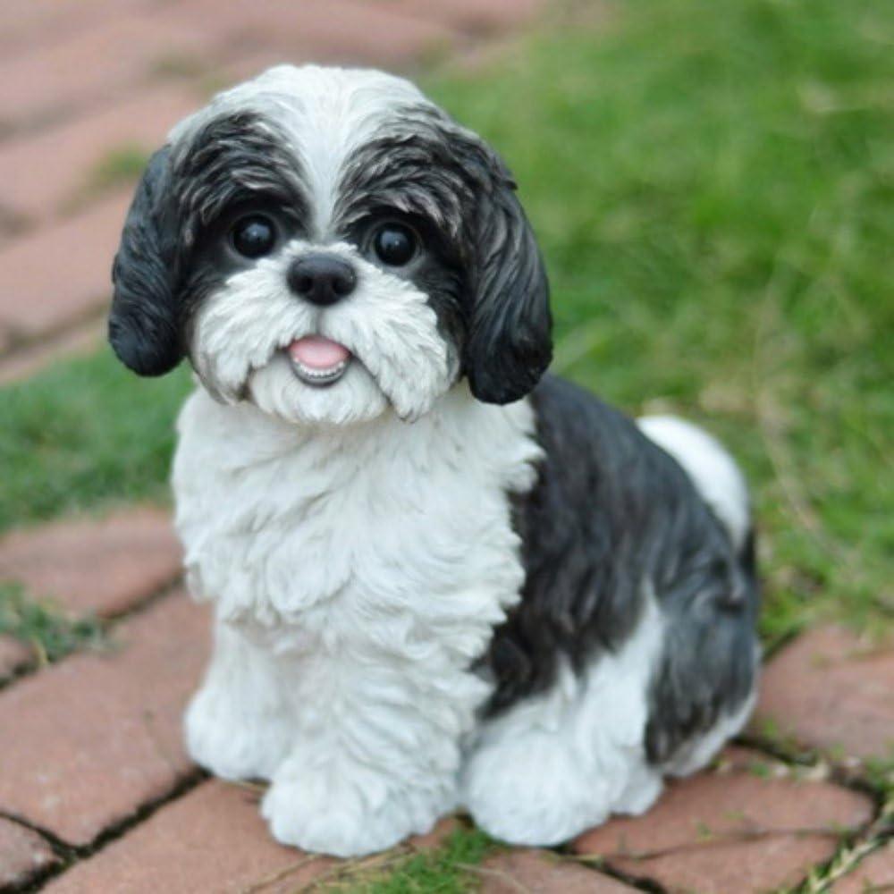 Black and White Polyresin Sitting Shih Tzu Dog Statue