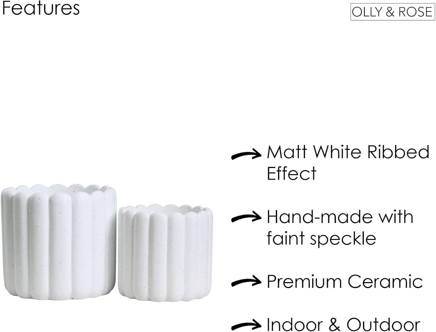 Olly & Rose Barcelona Ceramic Plant Pot Set 2 - Indoor & Outdoor Planters (Black)