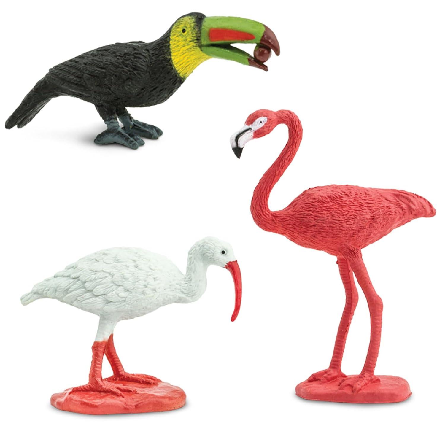 Safari Ltd. Exotic Birds TOOB - 10 Figurines: Parakeet, Quetzal, Macaw, Hummingbird, Toucan, Cockatoo, Flamingo, Snowy Owl, Parrot - Educational Toy Figures For Boys, Girls & Kids Ages 3+
