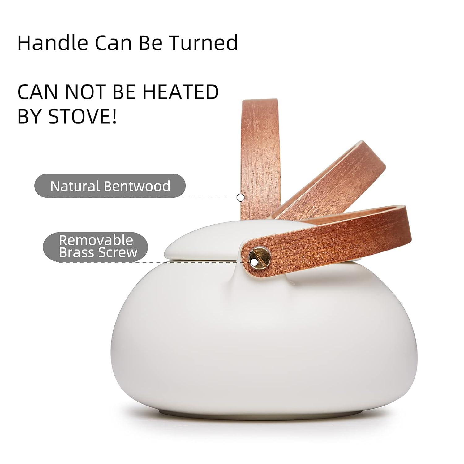 ZENS Japanese Tea Set with Infuser, Modern Bentwood Handle 27 oz Matte Ceramic Loose Leaf Teapot with 4 Cups & RattanCoasters for Tea Lover Gift