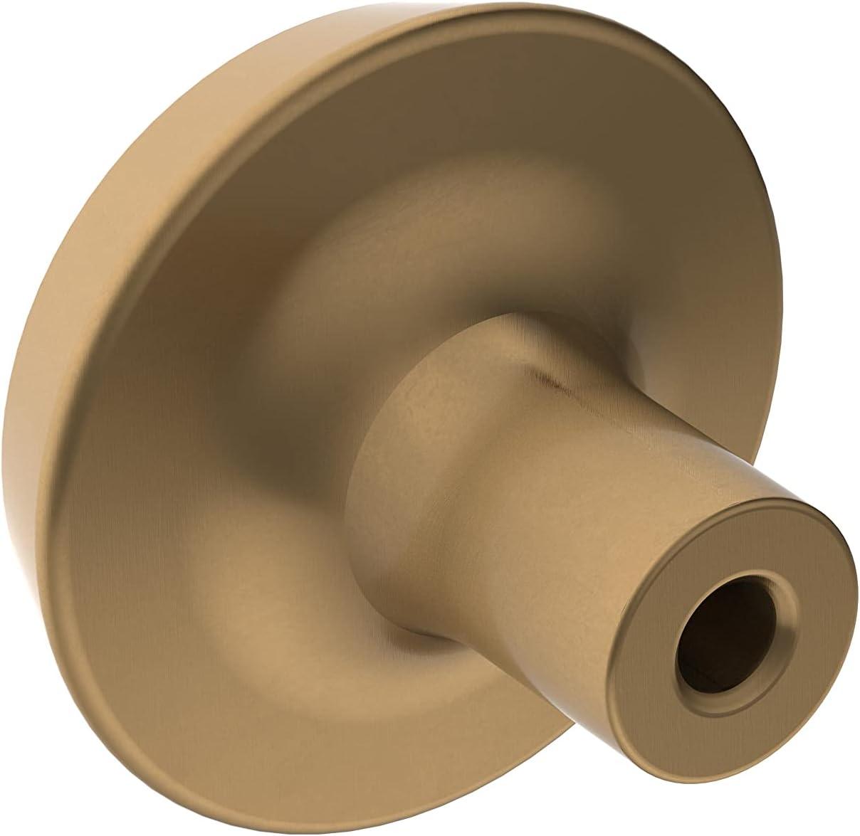 Amerock Premise Cabinet and Furniture Knob, 1-1/4 inch (32mm) Diameter