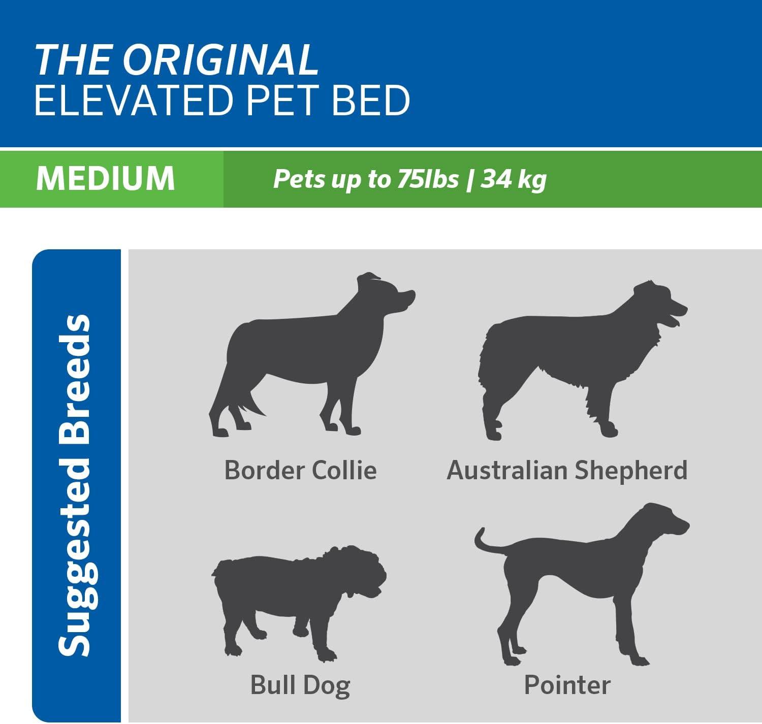 The Original Coolaroo Elevated Pet Dog Bed for Indoors & Outdoors, Medium, Aquatic Blue