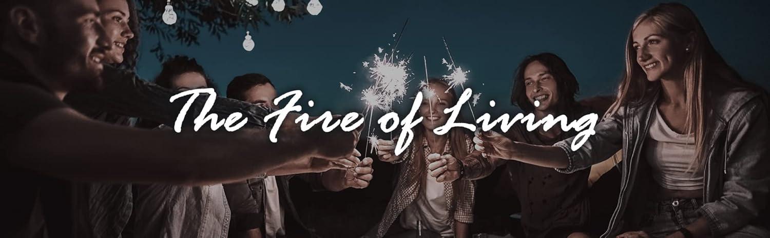 Fire Sense 01775 Performance Series Patio Heater With Wheels 50,000 BTU Output Electronic Ignition System Portable Outdoor Propane Heater - Unpainted Stainless Steel