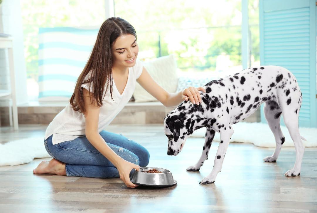 Medium Stainless Steel Non-Tip Pet Bowl with Rubber Base