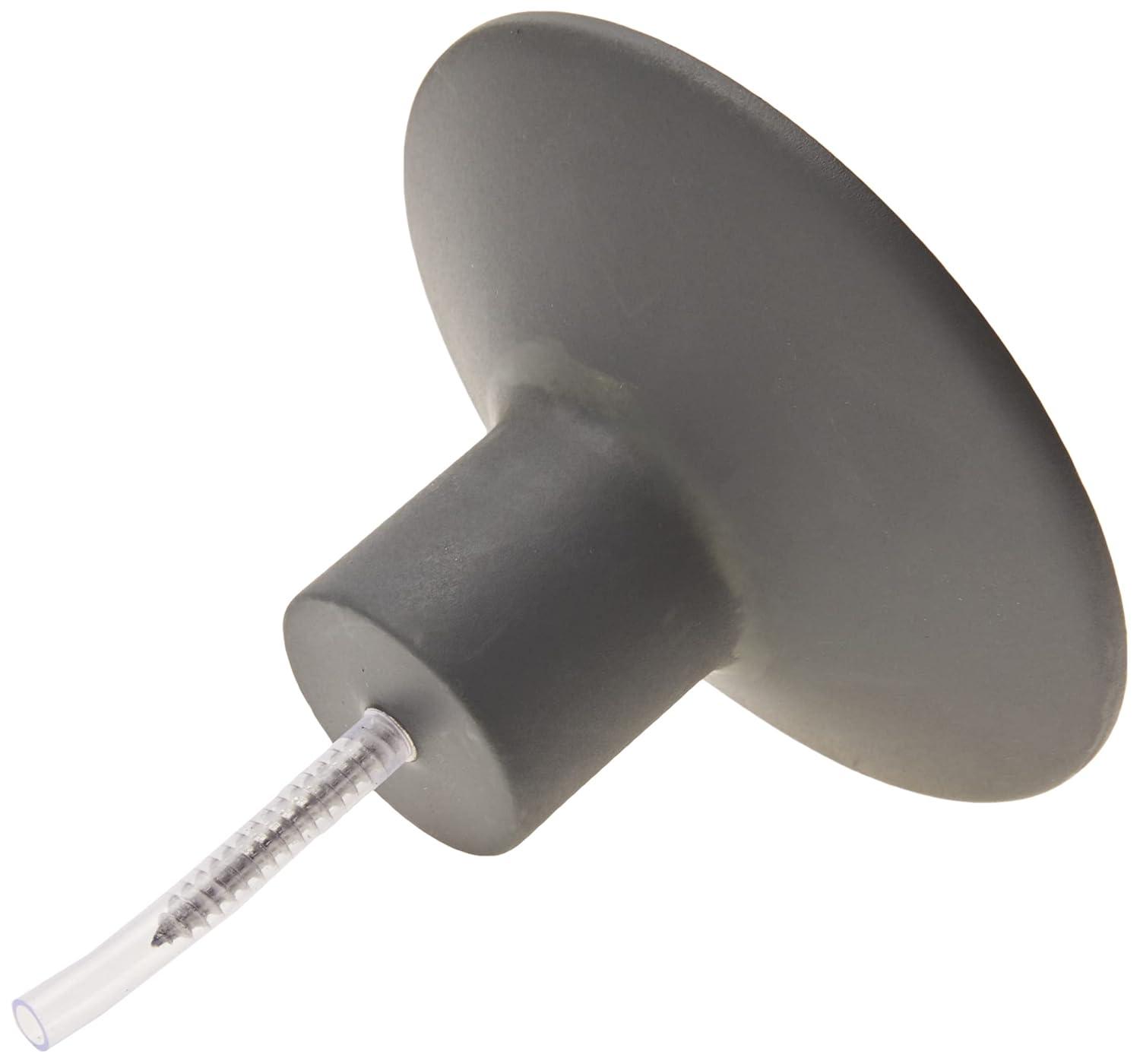 Blomus Ponto 4 - Hook Wall Mounted Wall Hook & Reviews | AllModern