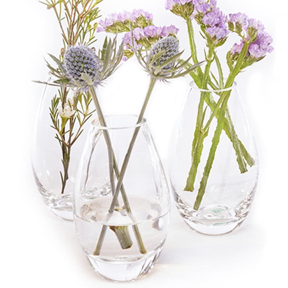 CHIVE ‘George’ Glass Bottle Flower Vases — Set of 6 — Small, Elegant Clear Glass Bud Vases — Bulk Pack for Home Decor & Table Centerpieces — Shape 5 (Oval, 5” Tall, 2.5” Wide)