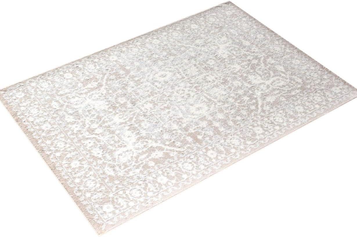 Rugs America Leopold Transitional Area Rug